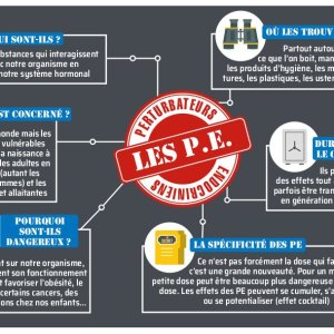 Perturbateurs endocriniens : définition et conseils en 1 page