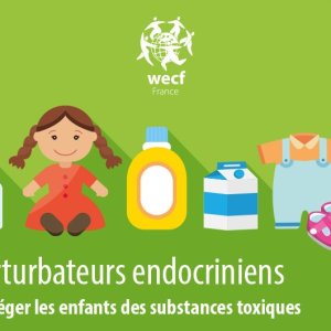 Les Mini-guides par thématique de WECF