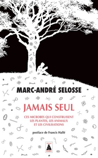 jamais seul.jpg (0.5MB)
Lien vers: http://parmelia.fr/?JamaisSeulCesMicrobesQui2